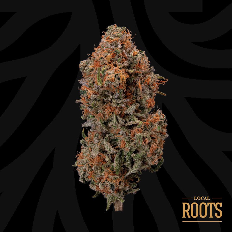 Photograph of Product: Blueberry Hashplant | 3.5g