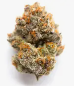 Photograph of product: Flower - Hooch - 3.5g