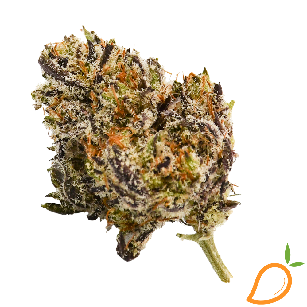 Photograph of product: Black Truffle  - Lucky Cultivation - 28g