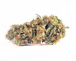 Photograph of product: Fortissimo - 043 - 28g