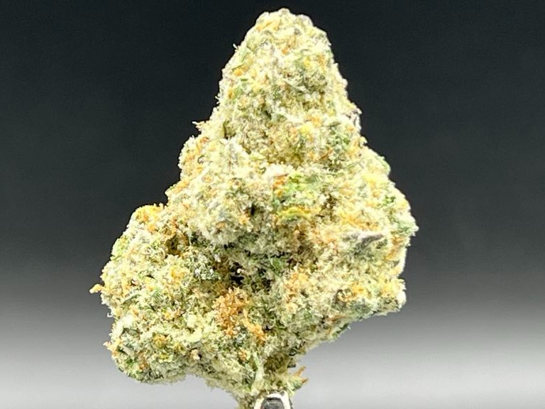 Photograph of product: #5703 Bananacane | 12.16.24 Baker Bag - 7g