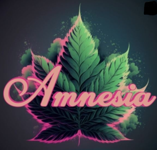 Photograph of product: Amnesia: Dirty Shirley 1.3G Bubble au chocolat Pre-roll