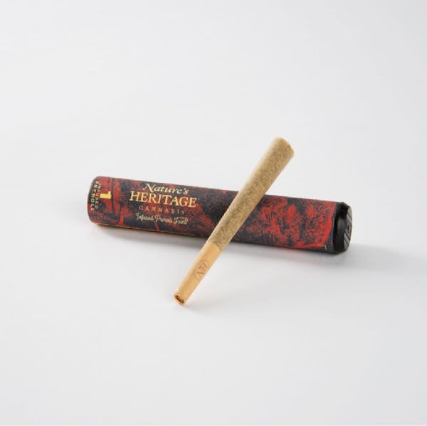 Photograph of product: Governmint Oasis | Infused Pre-Roll | 1.3g