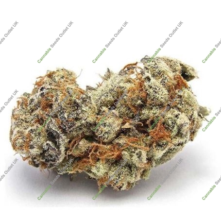 Photograph of product: Six Labs | Detroit Breath | Bulk Flower - 28g