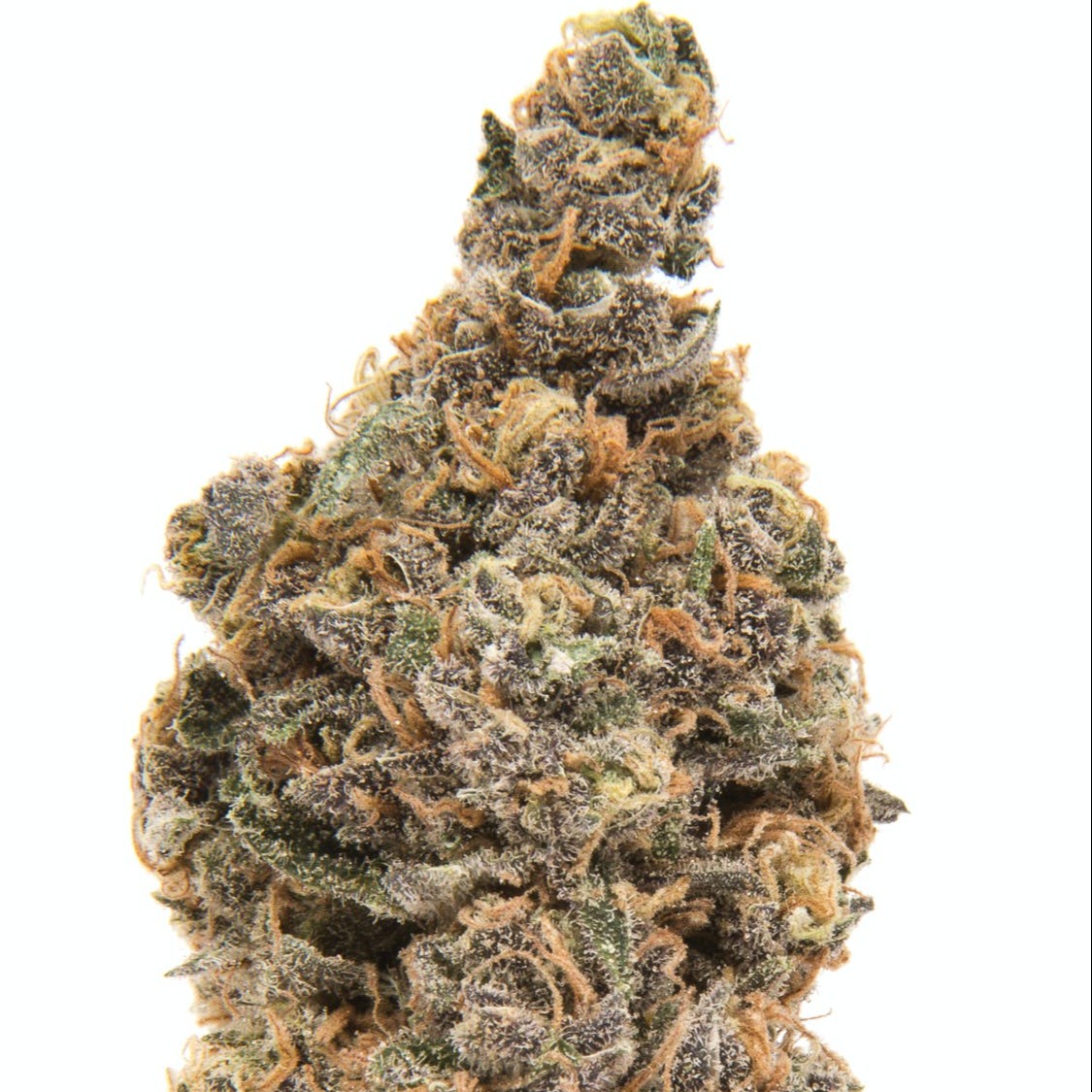 Photograph of product: Blueberry Muffin 22.11% TH-oui 1g Flower By ALASKAbuds