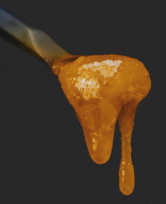 Photograph of product: Fresh Coast | Papaya Truffle | Cured Resin Badder | 1g