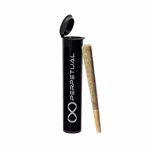 Photograph of product: Perpetual | 1g Preroll | S'morez #5