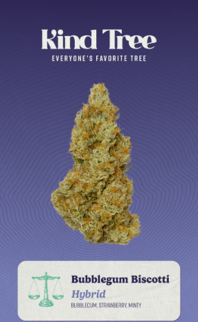 Photograph of product: Kind Tree - Bubblegum Biscotti 3.5g Flower