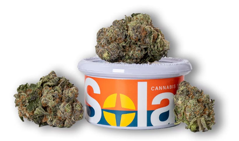 Photograph of product: Apples & Bananas S1 3.5g Flower