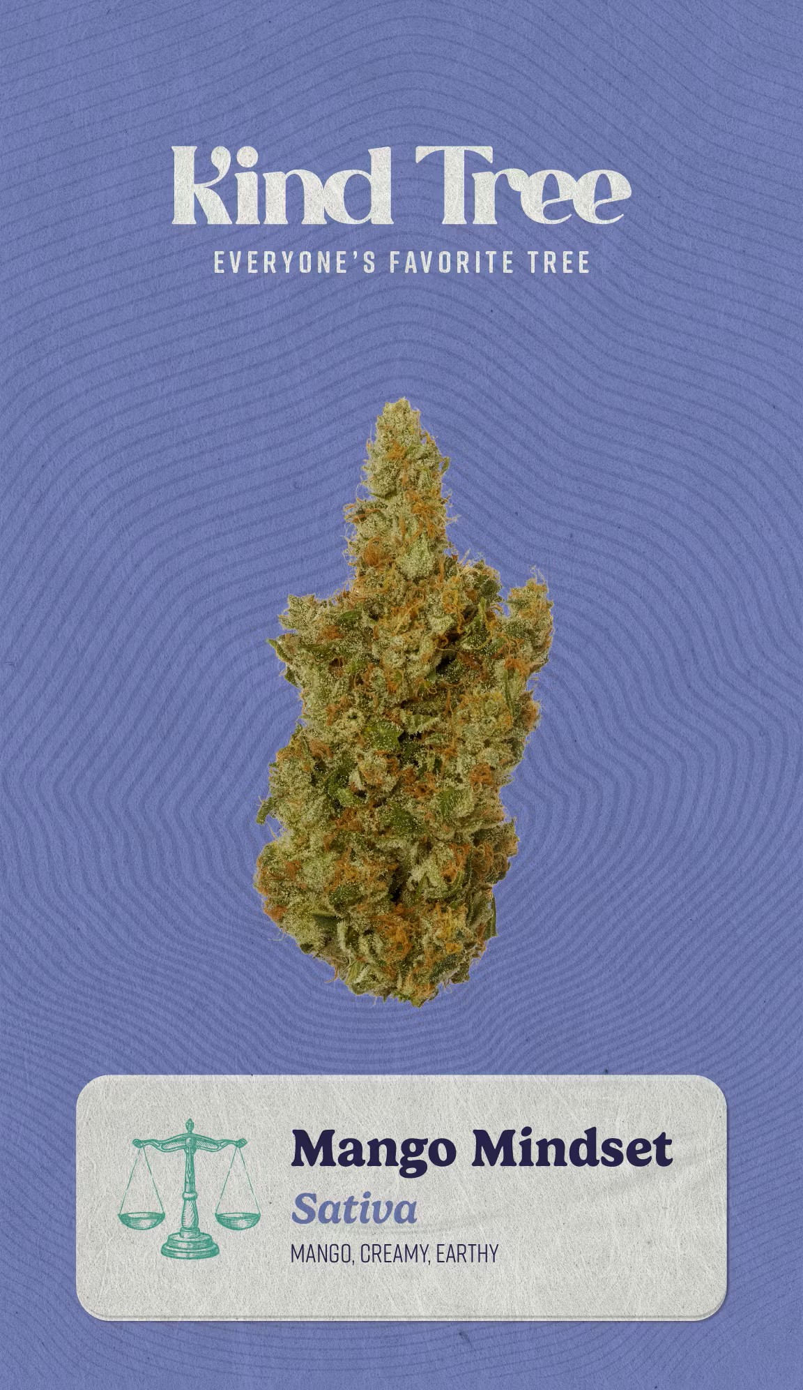 Photograph of product: Mango Mindset - Bud - 3.5g