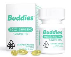 Photograph of product: 25MG INFUSED 40 SOFT GELS