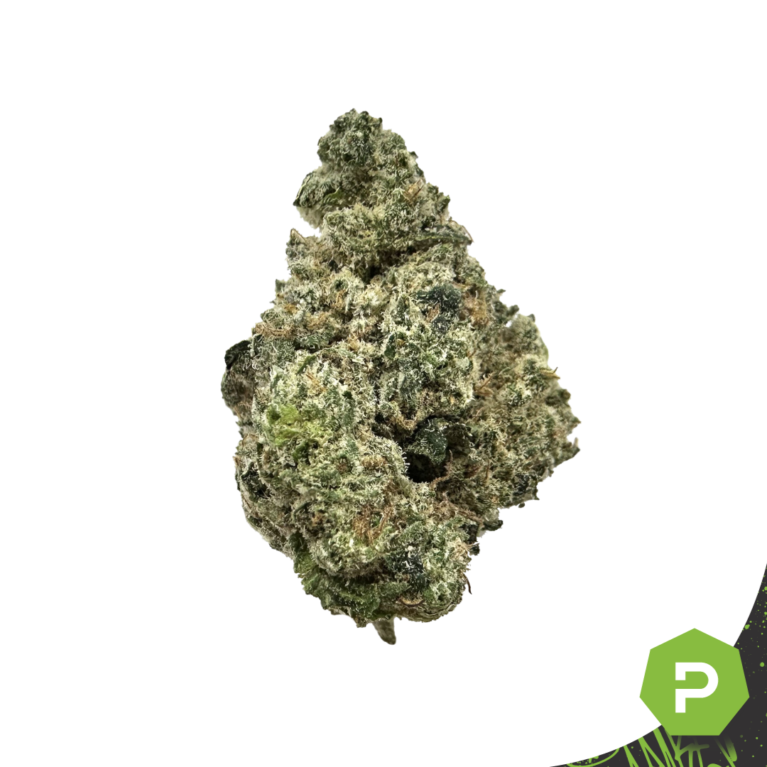 Photograph of product: MVM LLC | Dante's Inferno x RS11 - 28g