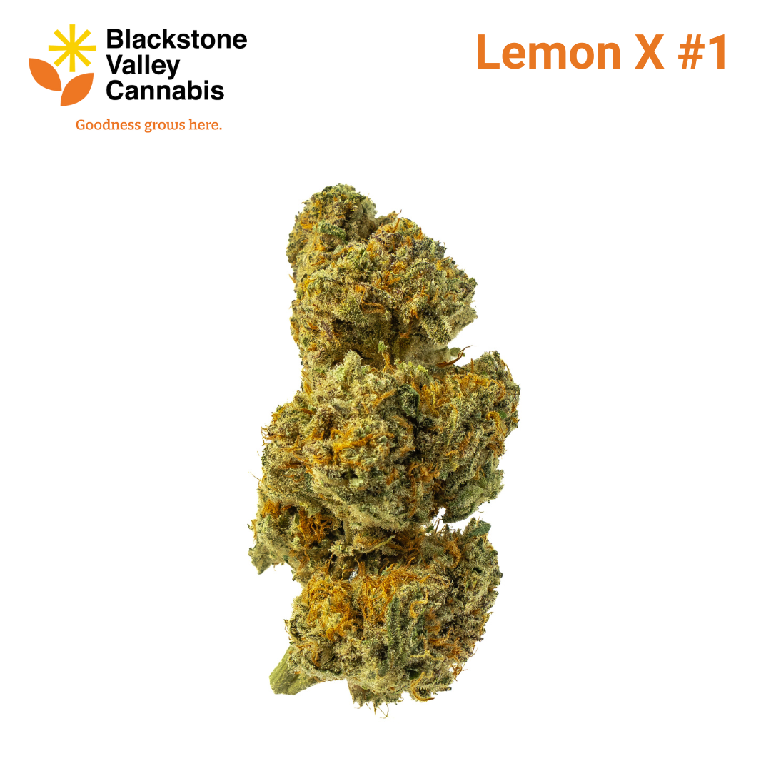 Photograph of product: Lemon X | Flower | 3.5g