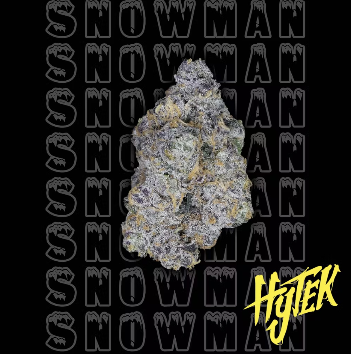 Photograph of product: (R) Hytek: Snowman (H) 7G