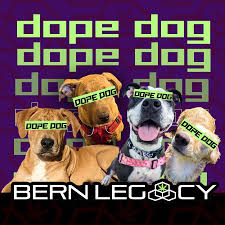 Photograph of product: 6pk | Dope Dog | Bern Legacy
