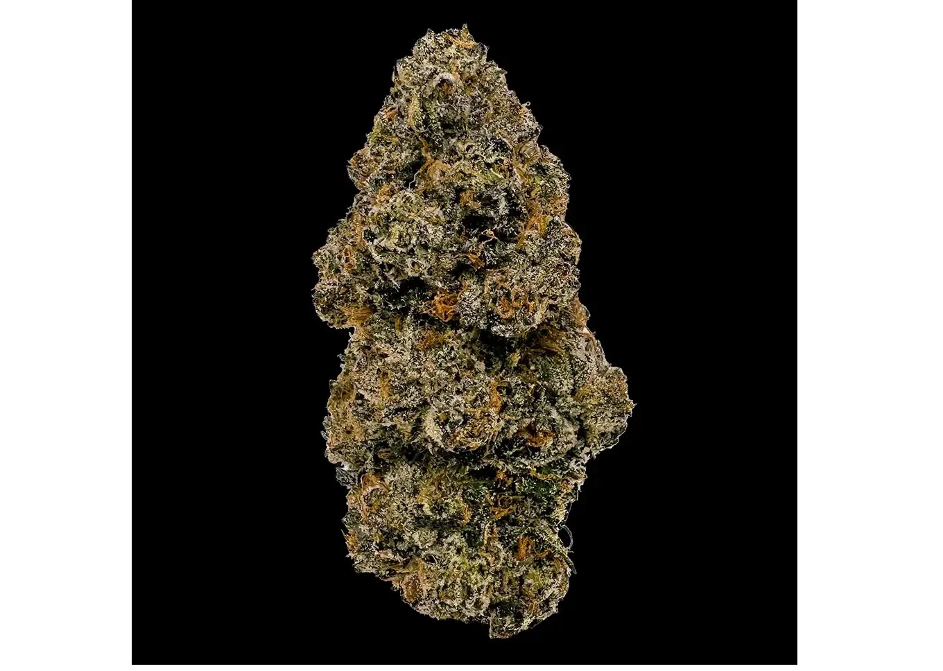 Photograph of product: Cookies | Berniehana Butter | Indoor Grown Flower - 3.5g