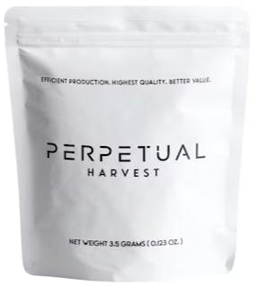 Photograph of product: Artificial Red | Flower | 28g