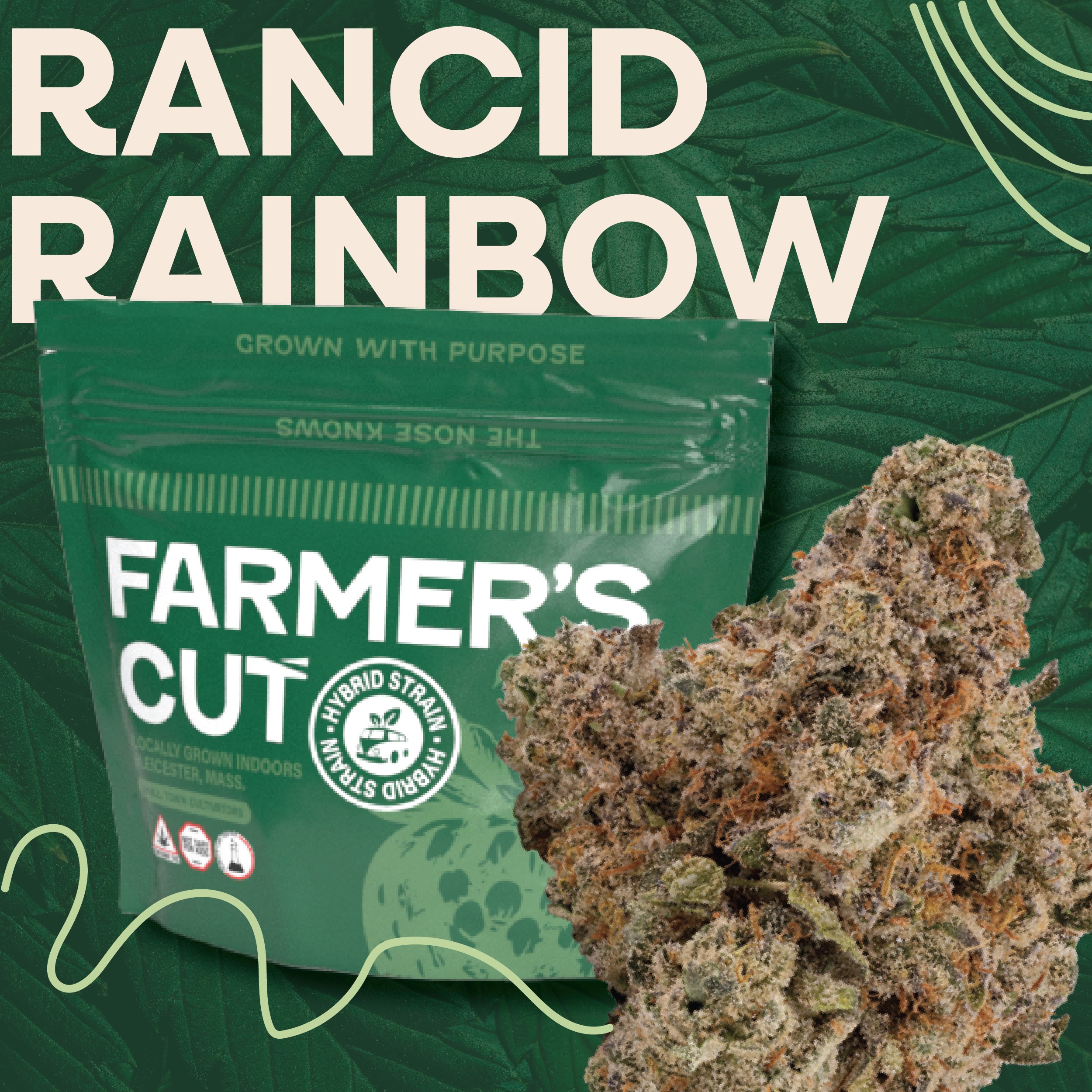 Photograph of product: Rancid Rainbow | 3.5g