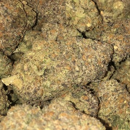 Photograph of product: Washington Apple (Grown Rogue)