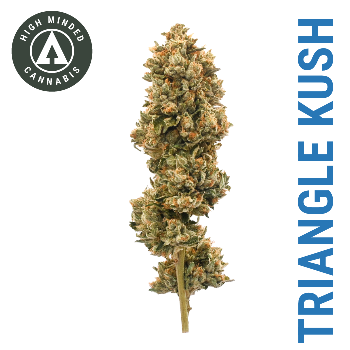 Photograph of product: Triangle Kush - Gold Tier - 1g