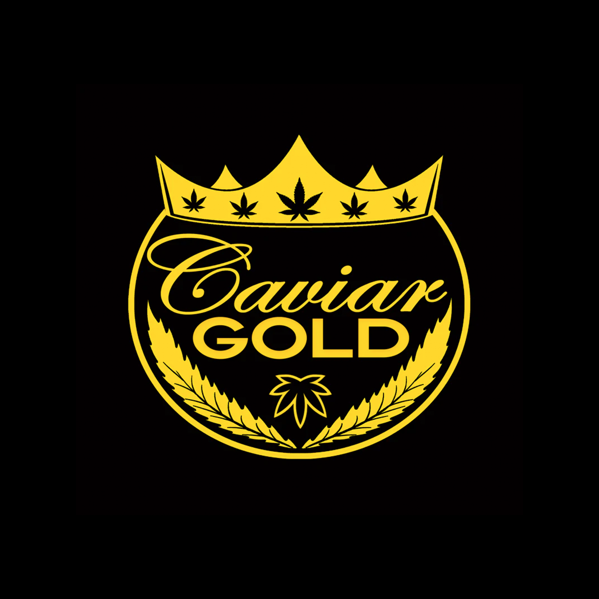 Photograph of product: Blue Glue - 5pk Caviar Gold Baby Cavi Infused Prerolls