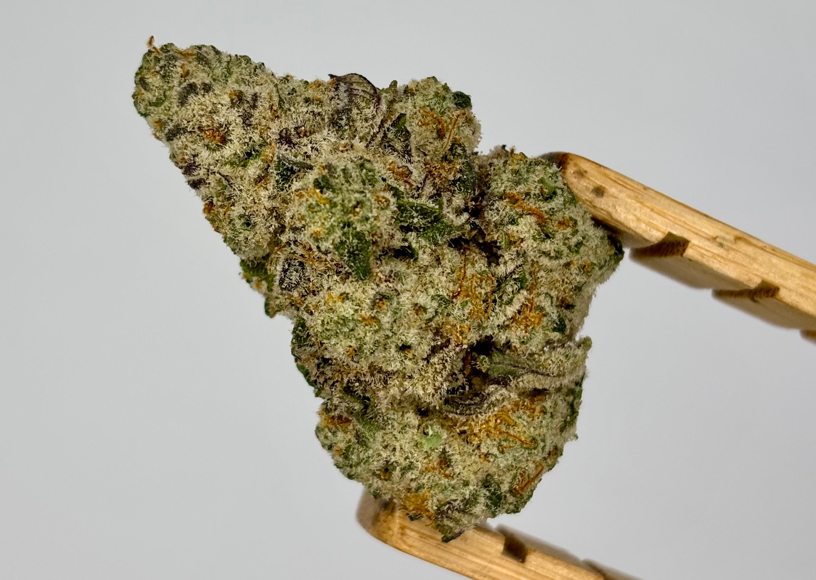 Photograph of product: Elysium | Cap Junkie | Bulk Flower | Purple Tier - 28g