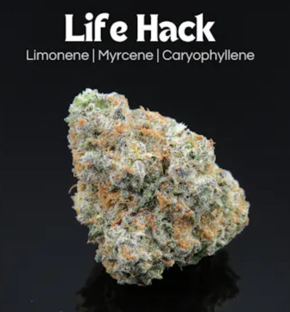 Photograph of product: Life Hack | 14.15g
