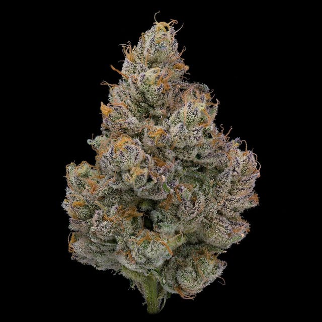 Photograph of product: Jungle Juice | 3.5g Flower - 