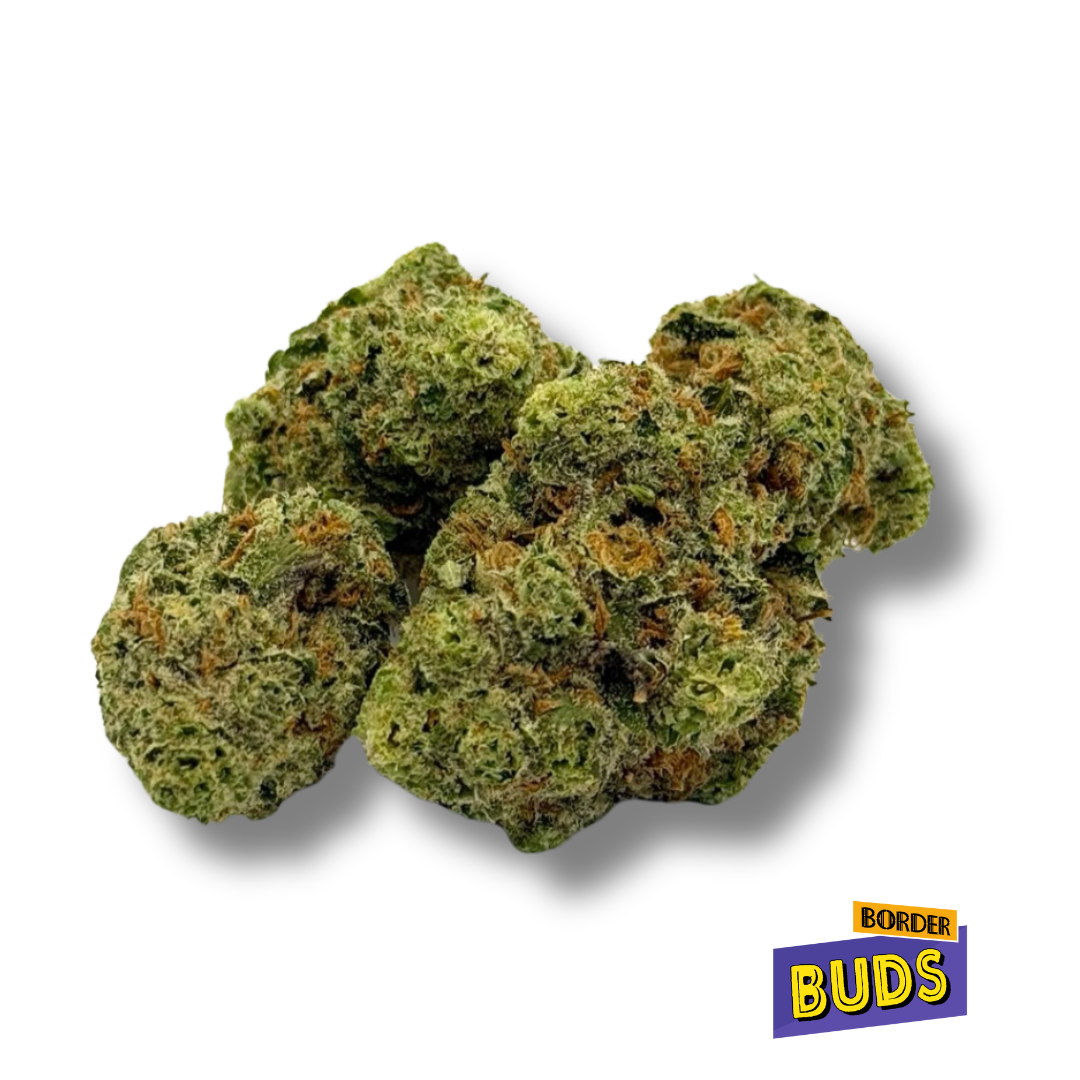 Photograph of product: Candy Store | Eden East | Deli-Flower - 28g