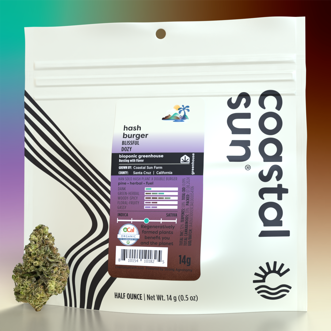 Photograph of product: Coastal Sun | Hash Burger - 14g