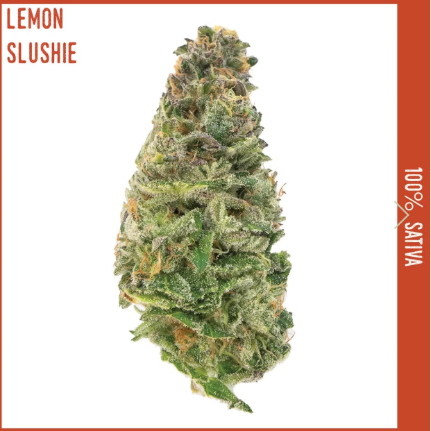 Photograph of product: New Altitude Farms | 3.5g | Lemon Slushie
