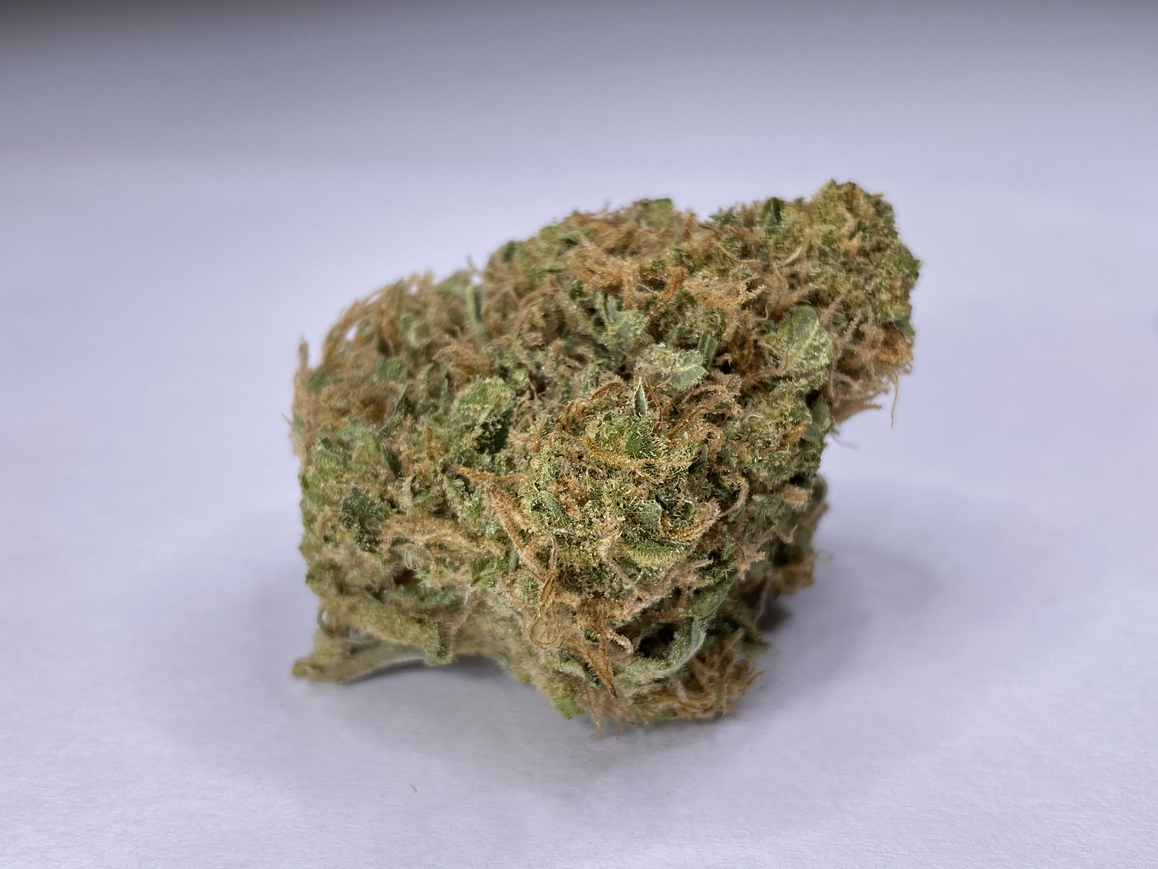 Photograph of product: Golden Goat - 28g