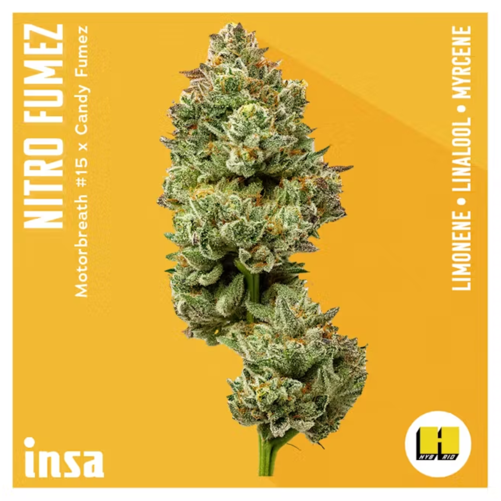 Photograph of product: 3.5g | Nitro Fumez | INSA