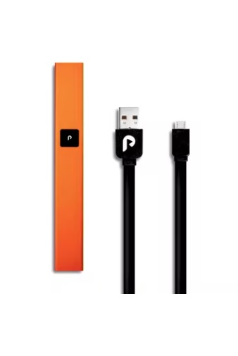 Photograph of product: PLUGPLAY | Orange Steel Battery