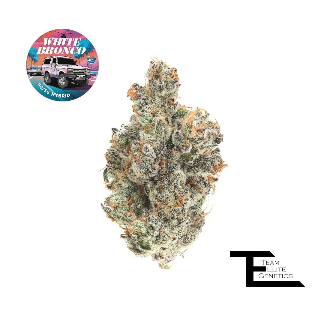 Photograph of product: Team Elite Genetics - White Bronco (Hybrid) Premium Flower - 3.5g