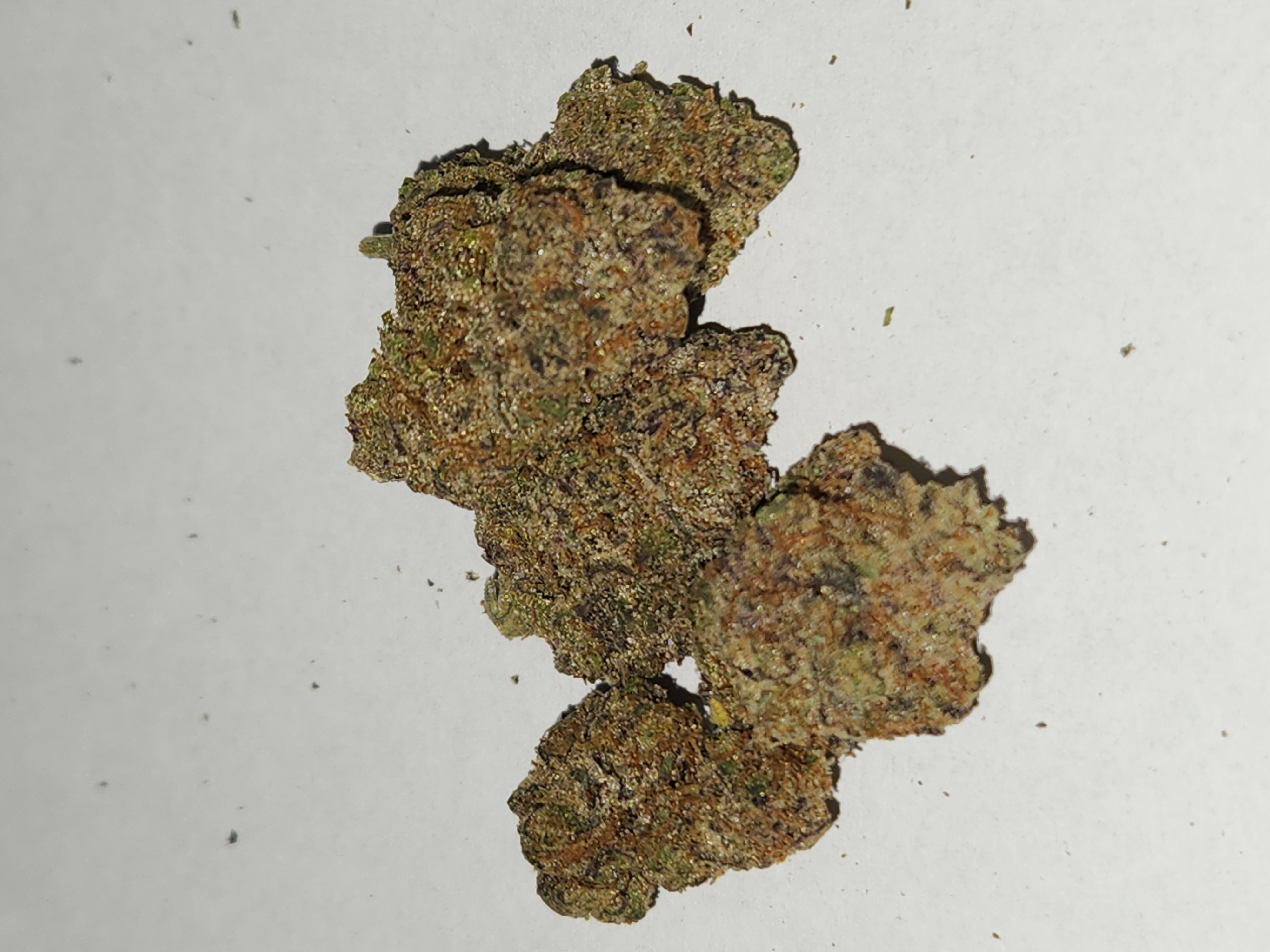 Photograph of Product: Hand Banana Bulk Flower (Bushey Beard) - 1g