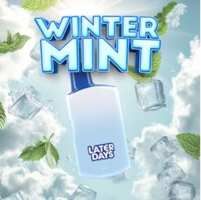 Photograph of product: Winter Mint Disposable