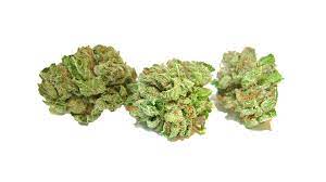 Photograph of product: GUAVA - POPCORN - 1/2OZ