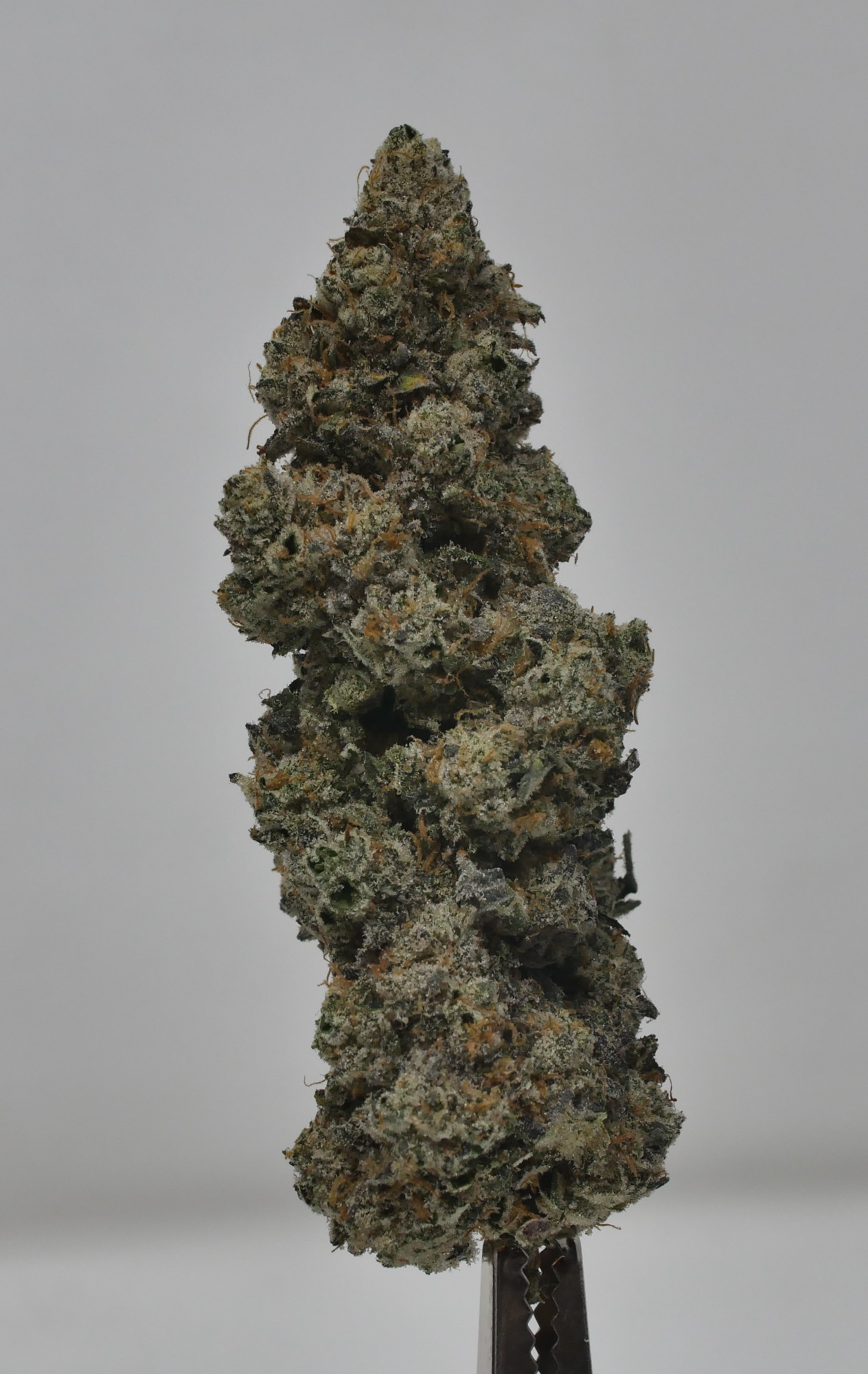 Photograph of product: Gelato Cake By Urban Canna - 28g