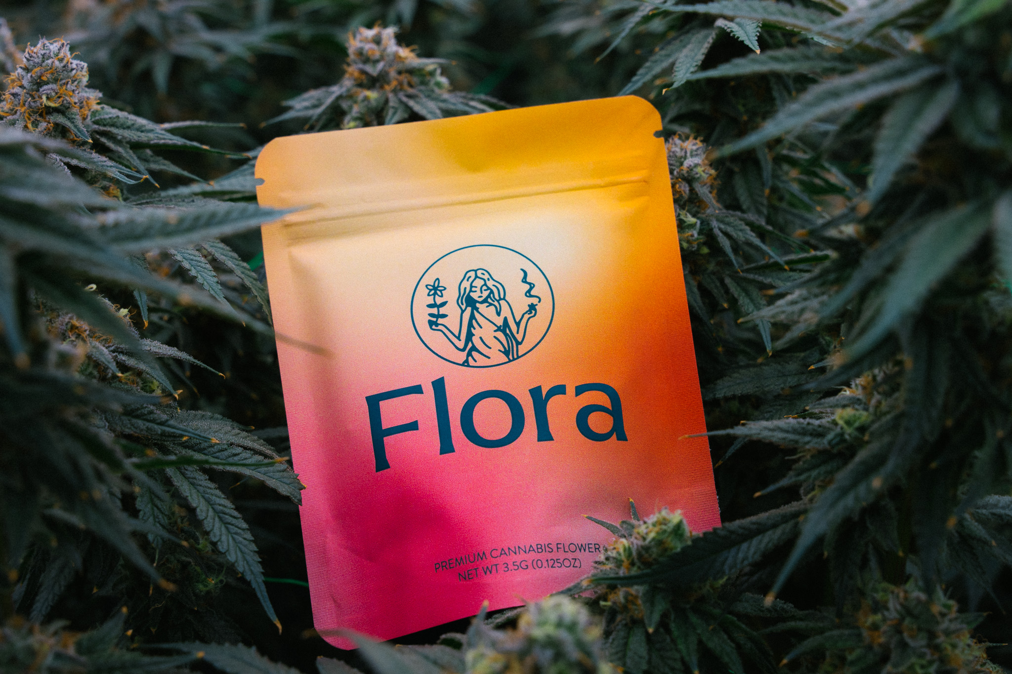 Photograph of product: Flora   Cindyberry Bloom - 3.5g