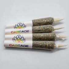 Photograph of product: CASCADE VALLEY | PRE-ROLL | APPLES & BANANAS