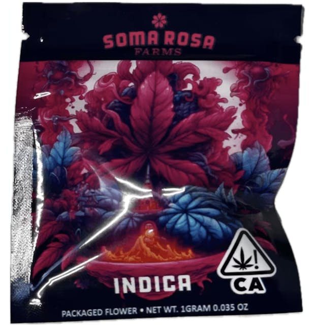 Photograph of product: 1G COLLINS AVE - 