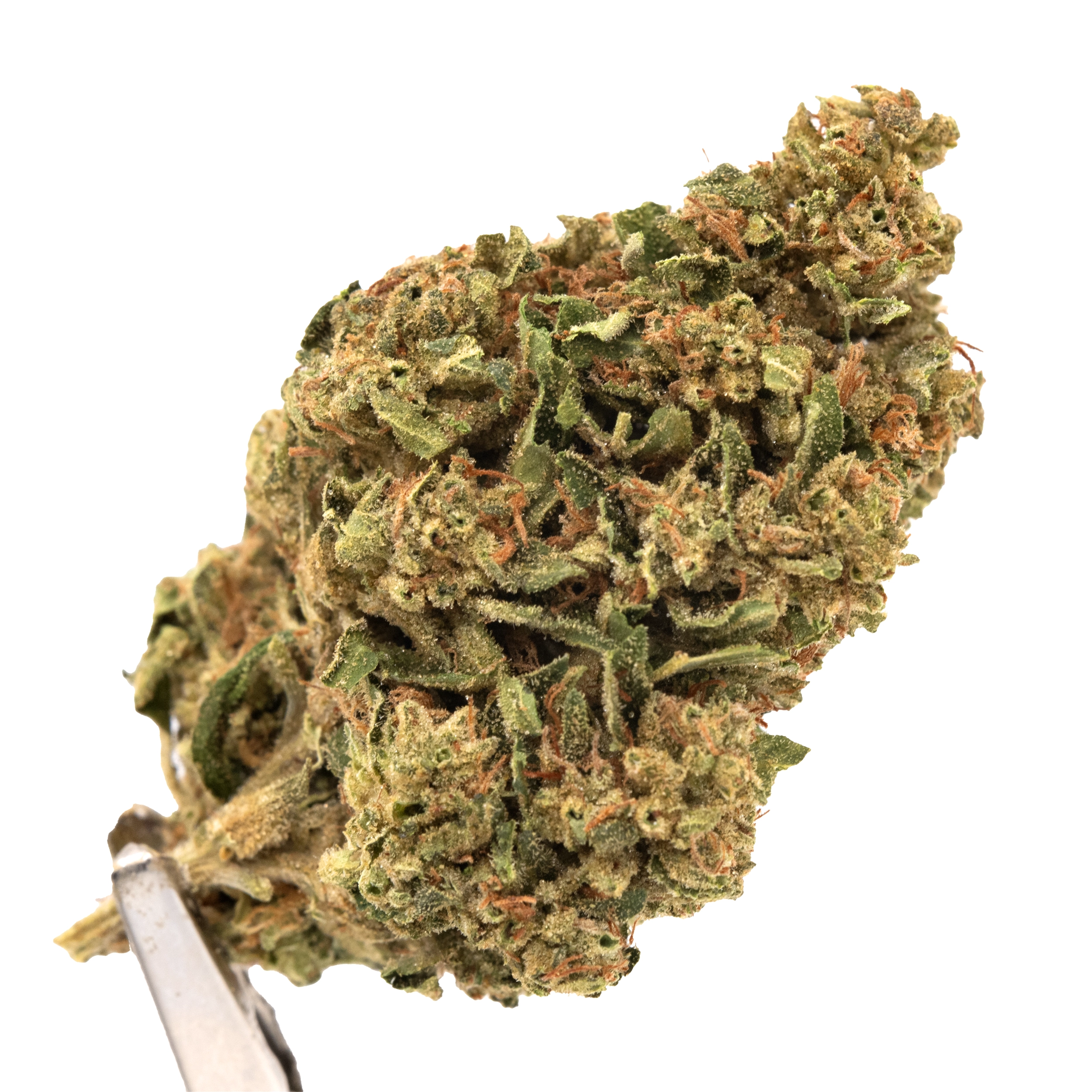 Photograph of Product: 28g Rebel Cookies