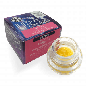 Photograph of product: Squirt | 1g Live Badder - 