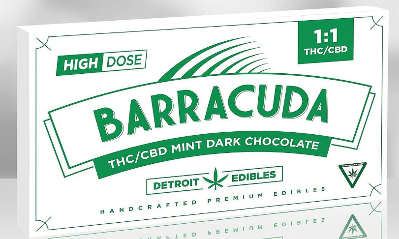 Photograph of product: Dark Mint Chocolate 1:1 | Chocolate Bar 200mg