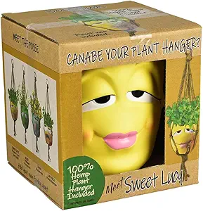 Photograph of product: Best Buds Hanging Flower Pot / Sweet Lucy