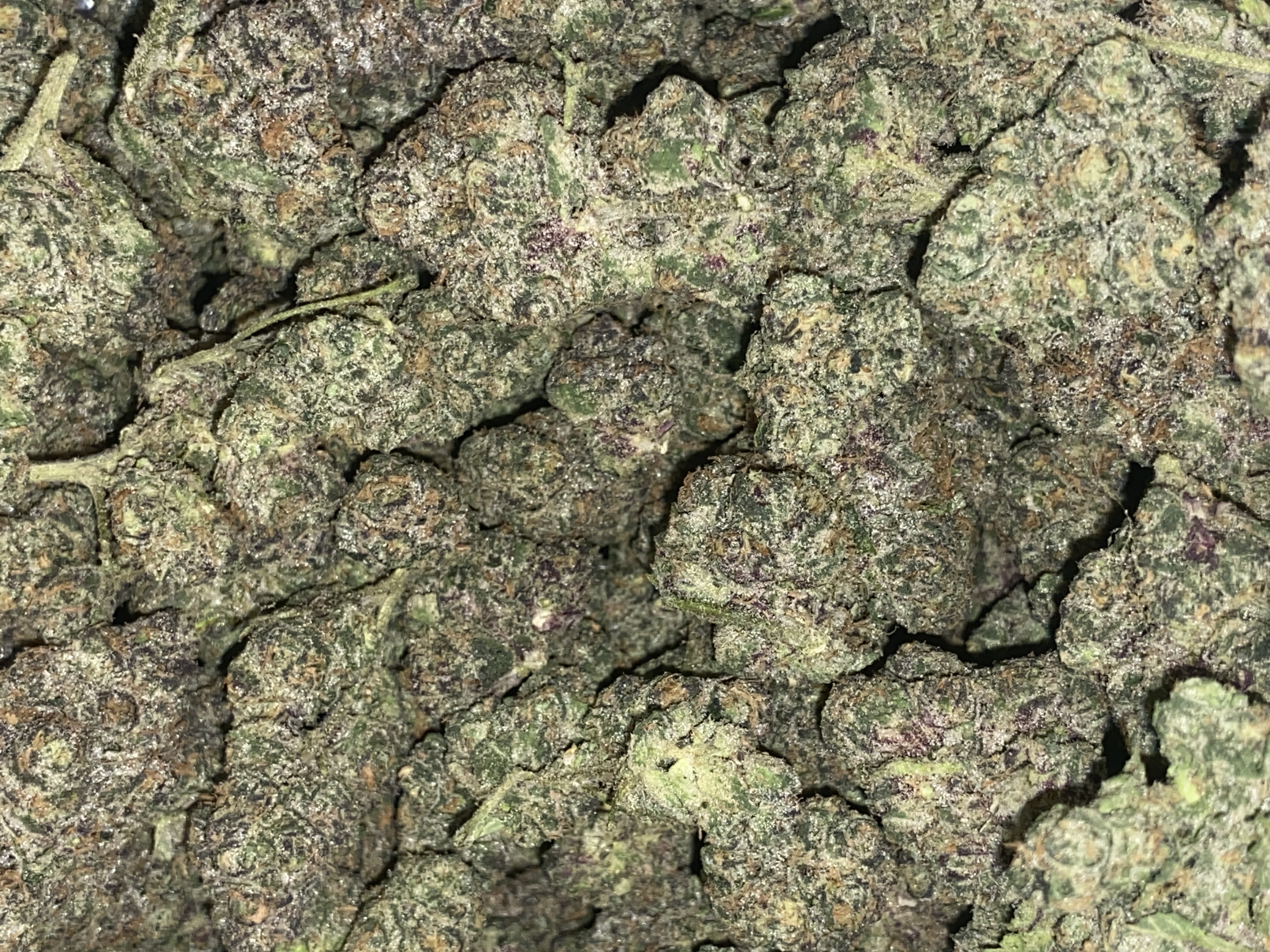 Photograph of product: Purple Ice Water | Premium Flower - 14g