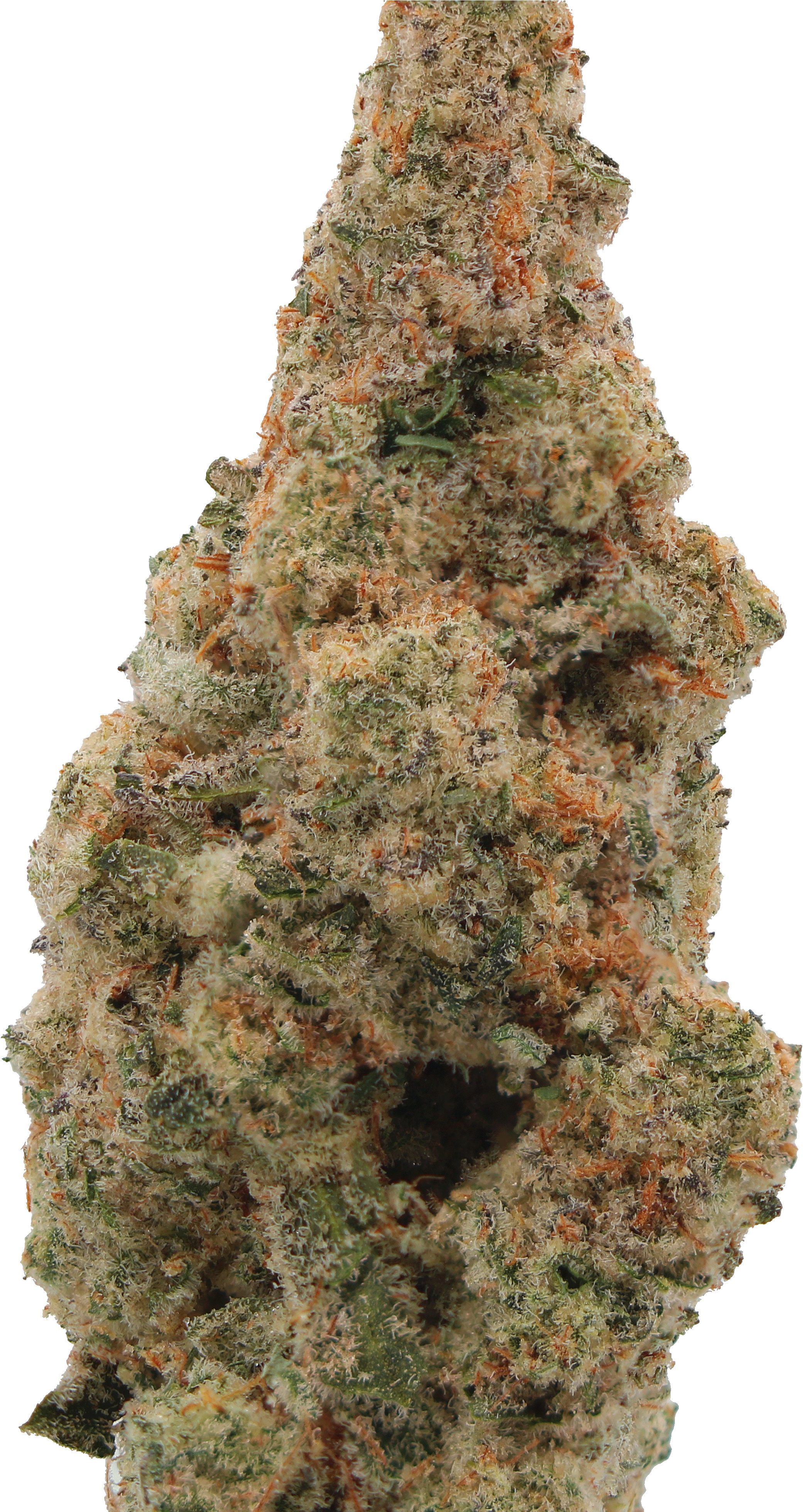 Photograph of product: Chocolate Pie - 3.5g