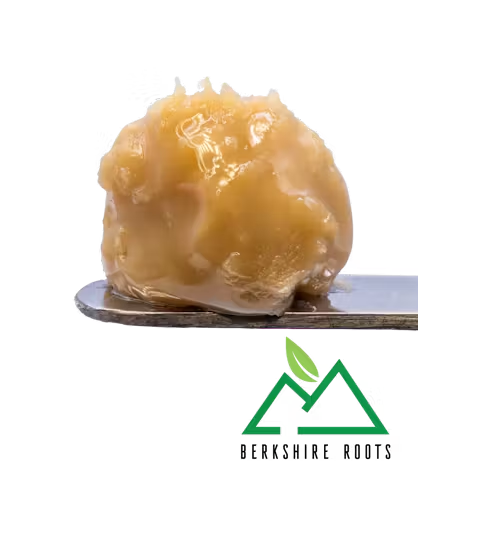 Photograph of product: OGKB 2.0 bx Live Rosin Badder