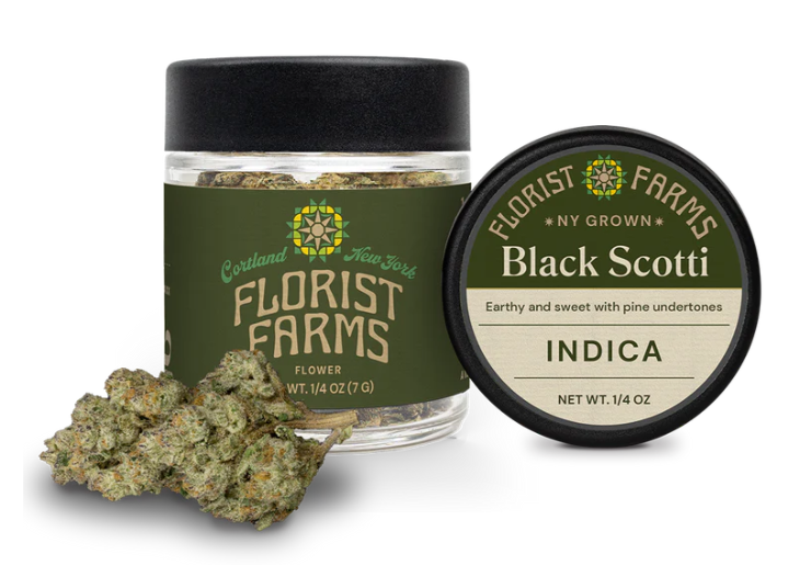 Photograph of product: Black Scotti Oui'd | Florist Farms - 7g